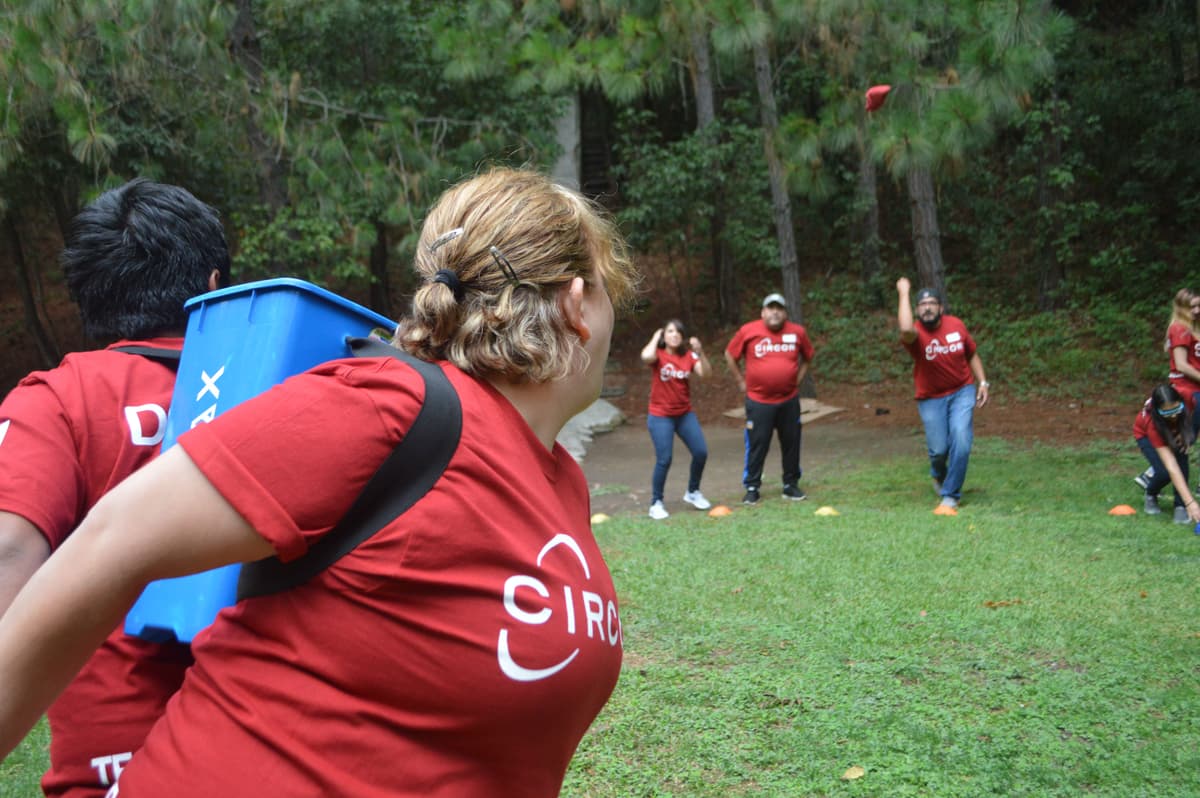 descripción de imagen